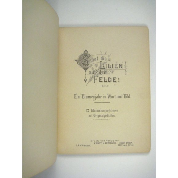 Sunday School German Calendar Book Geschenk Sonntagsschule Floral Druck Verlag - Picture 4 of 8